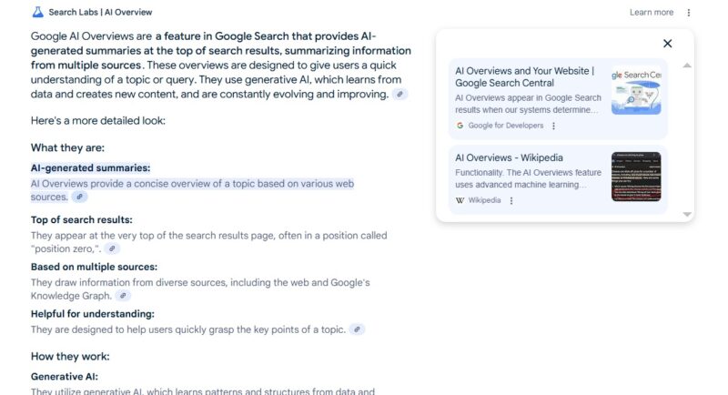 איך נראה GOOGLE AI OVERVIEW בפועל